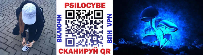 Псилоцибиновые грибы GOLDEN TEACHER  Купить  Старая Русса 